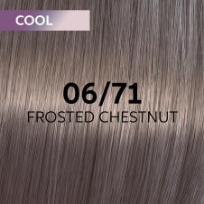 Wella Professionals Shinefinity 06/71 Frosted Chestnut 60ml