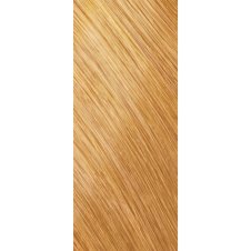 Goldwell Topchic Tube Warm Blondes Haarfarbe 9G...