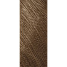 Goldwell Topchic Tube Cool Blondes Haarfarbe 8A hell-aschblond 60ml