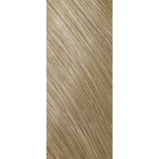 Goldwell Topchic Tube Cool Blondes Haarfarbe 10A...