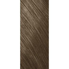 Goldwell Topchic Tube Cool Blondes Haarfarbe 8SB silber...