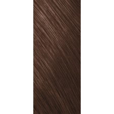 Goldwell Topchic Depot Warm Browns Haarfarbe 6B goldbraun 250ml