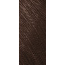 Goldwell Topchic Depot Warm Browns Haarfarbe 5GB hellbraun goldbraun 250ml