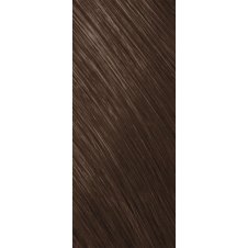 Goldwell Topchic Tube Warm Browns Haarfarbe 6G tabak 60ml