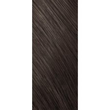 Goldwell Topchic Depot Cool Browns Haarfarbe 6SB silber braun 250ml