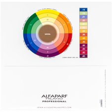 Alfaparf Milano Color Wear Farbkarte Ton in Ton Groß